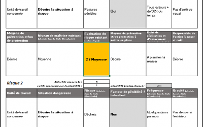 DUERP : obligation ou recommandation ?